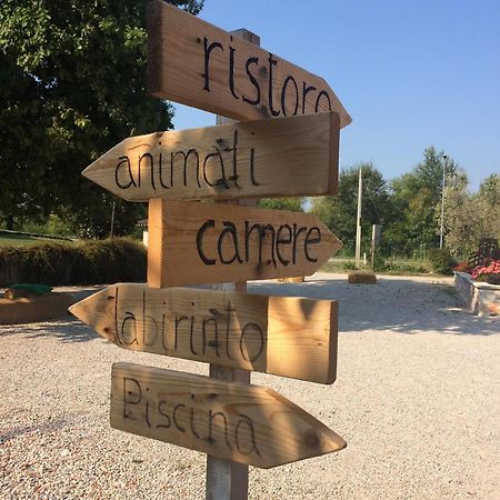 La Selce Farmhouse Bagnario Arsa Εξωτερικό φωτογραφία