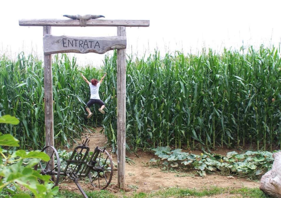 La Selce Farmhouse Bagnario Arsa Εξωτερικό φωτογραφία