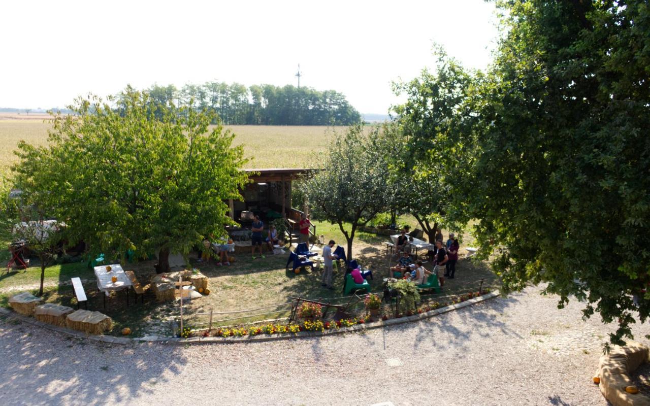 La Selce Farmhouse Bagnario Arsa Εξωτερικό φωτογραφία