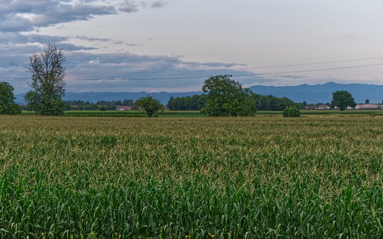 La Selce Farmhouse Bagnario Arsa Εξωτερικό φωτογραφία